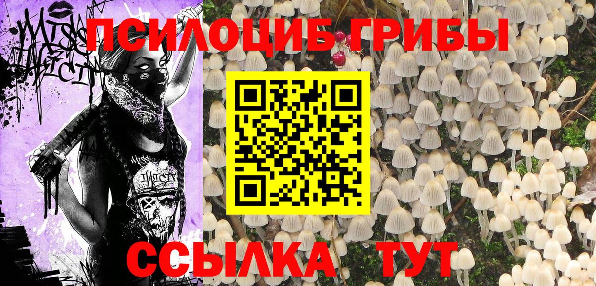 Псилоцибиновые грибы MAGIC MUSHROOMS Белая Калитва