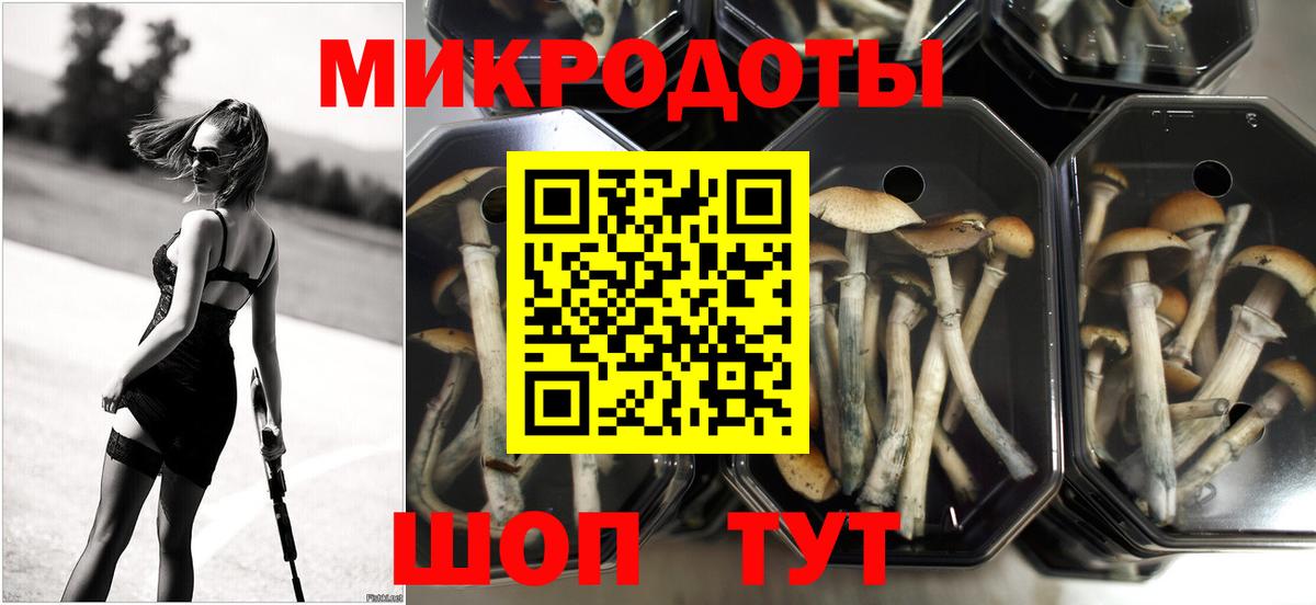 Псилоцибиновые грибы MAGIC MUSHROOMS Белая Калитва